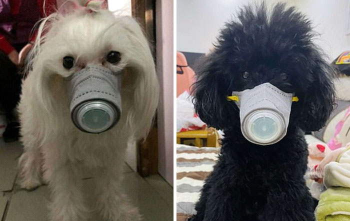 Corona Virus Mask