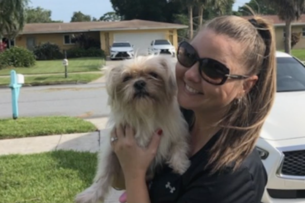 Missing Shih Tzu