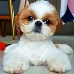 Exercise Requirements