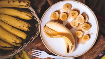 Shihtzus and bananas