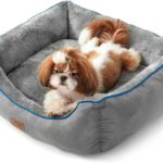 Shih Tzu Bed